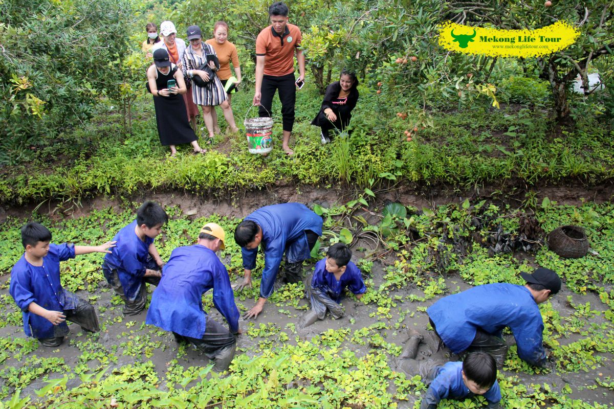 Du-lich-mien-tay-Bat-ca-mekonglifetour